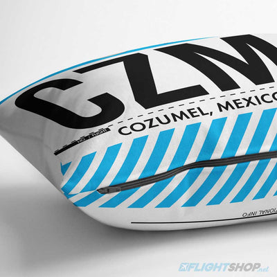 Airport Throw Pillow